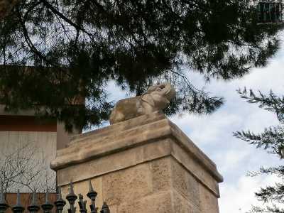 Sulla cima di quest�ultime troviamo due graziose sculture raffiguranti degli elefanti: si tratta dell�ingresso dell�antica Villa Re David